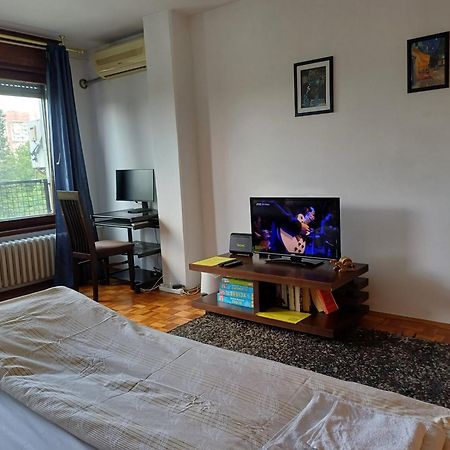 Apartment Student City, Wifi 300Mbs Belgrad Exterior foto